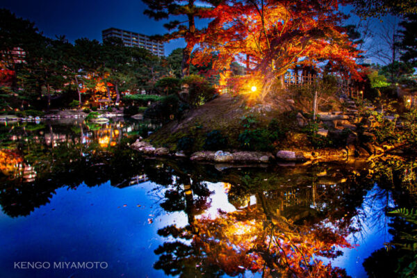 年に２度、春と秋に夜間特別開園とライトアップが行われる縮景園の紅葉ライトアップ。広島市主催「第二回インスタグラムフォトコンテスト」【銀賞】 受賞作品。園内は池を囲むように作られており、ライトアップされた木々が水面に写り込む様子は絶景。